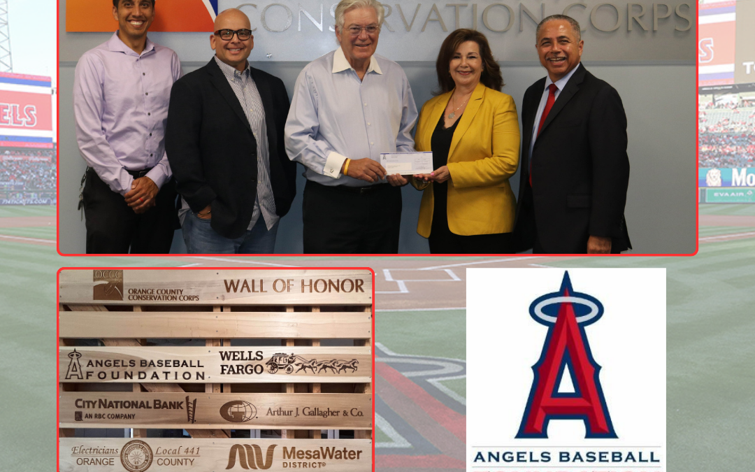 Thank You Angels Baseball Foundation!