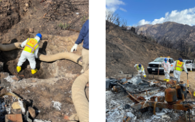 2025 First Quarter Newsletter