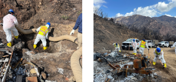 2025 First Quarter Newsletter