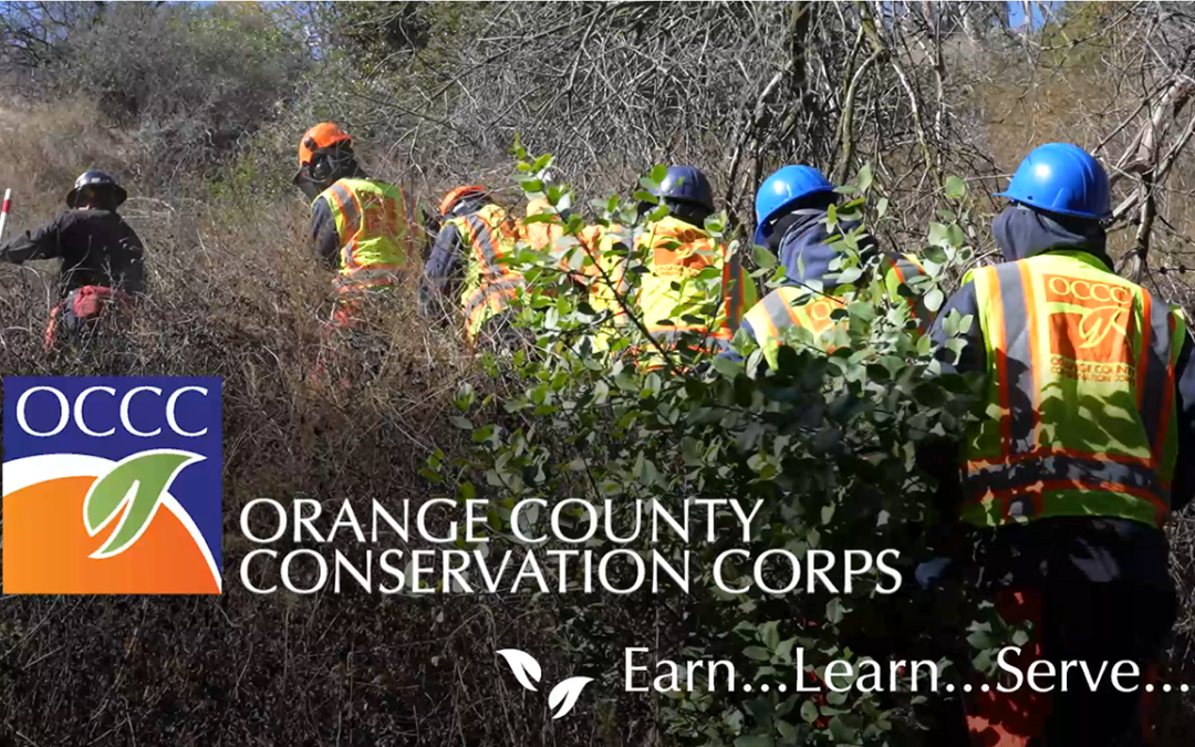 2025 Fourth Quarter Newsletter